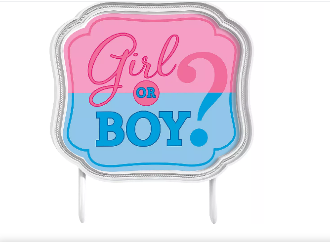 Gender Reveal Girl or Boy Cake Topper Plastic Party Decoration Supplies