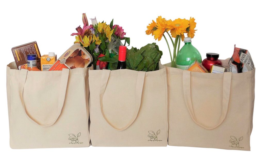 Can Eco-Friendly Bags Replace Plastic Carry Bags?