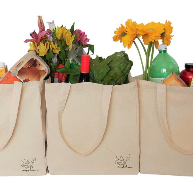 Can Eco-Friendly Bags Replace Plastic Carry Bags?