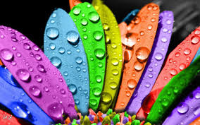 Digital Printing Technology for your packages
