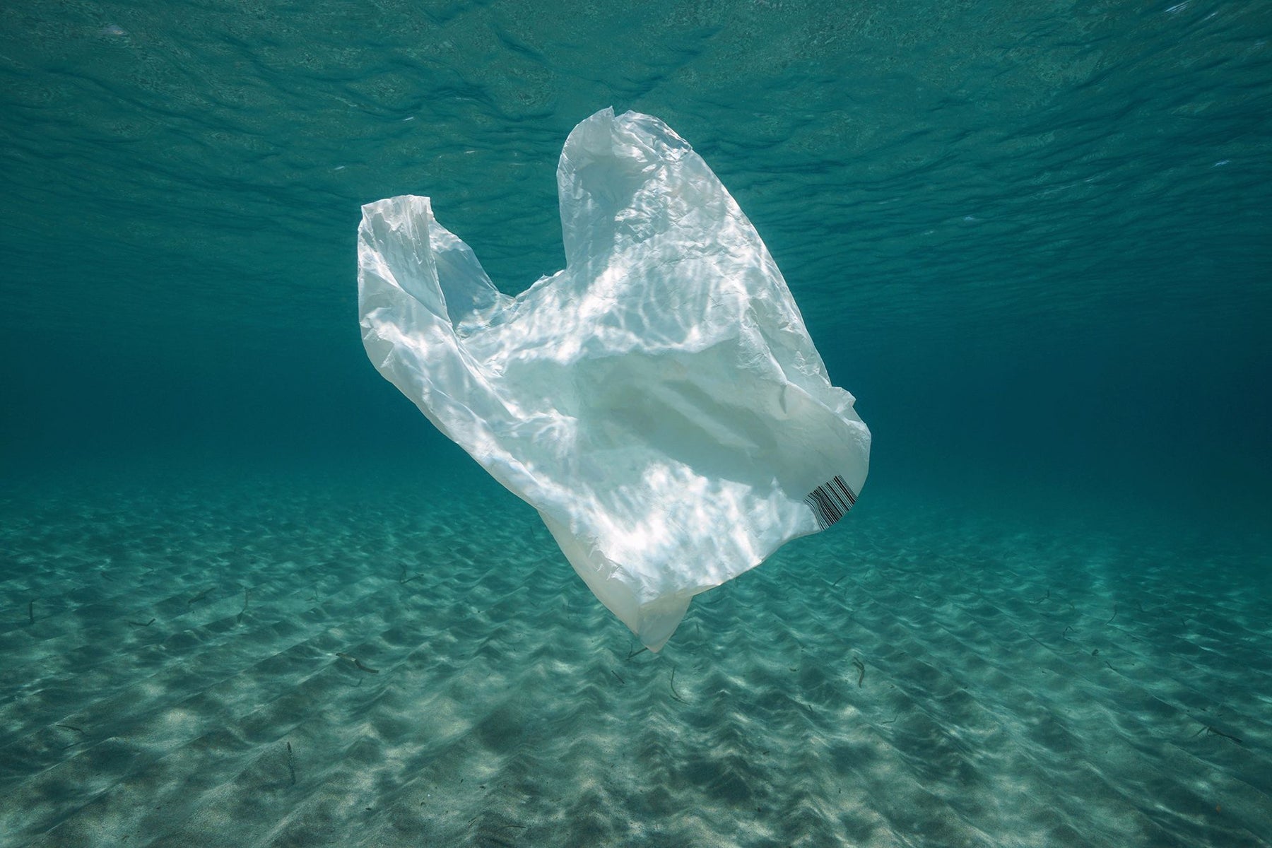 How do biodegradable and degradable bags impact the environment?