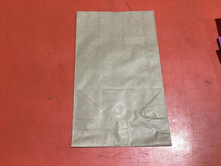 UNPRINTED BROWN BAGS; CA-SOSB-10; (300x200) 255bags: