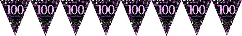 Pink Celebration 100 Birthday Prismatic Pennant Banner